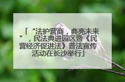 “法护营商，典亮未来”，民法典进园区暨《民营经济促进法》普法宣传活动在长沙举行